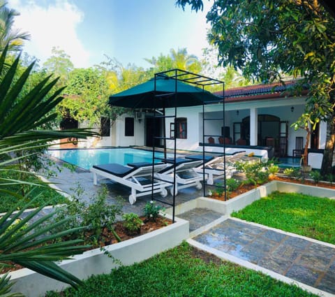 Garden, Garden view, Swimming pool