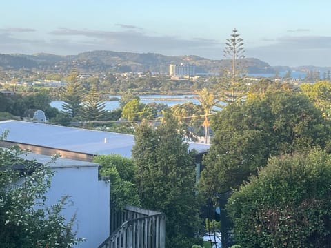 Pohutukawa Oasis - 1 bed apartment Apartment in Auckland Region