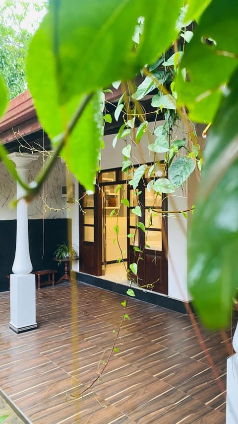 Day, Garden, Garden, Garden view