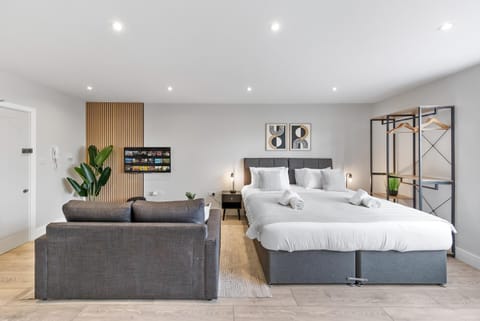 Bed, Living room, Photo of the whole room, Seating area