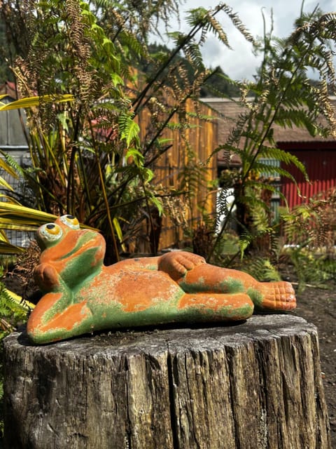 The Lazy Frog Cottage House in Queenstown