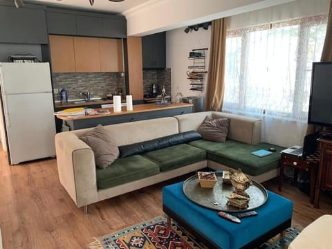 Kitchen or kitchenette, Living room, oven, stove