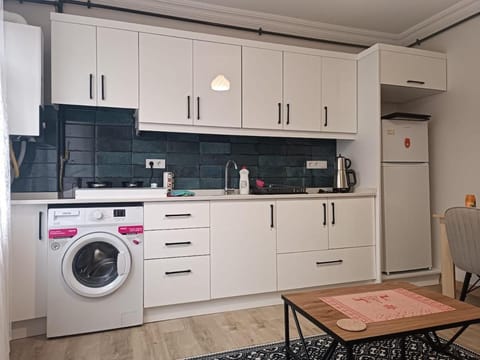 Kitchen or kitchenette, Dining area, stove, washing machine