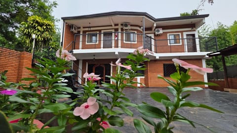 Property building, Garden, Garden view