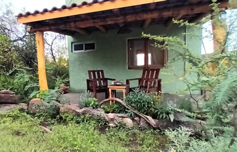 Patio, Garden view