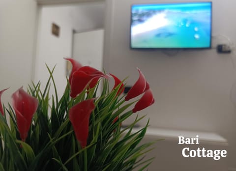 Bari Cottage Bed and Breakfast in Bari