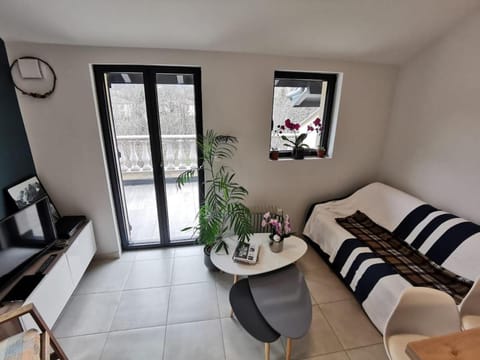 Hebergeneve Les Terrasses Apartment in Gex