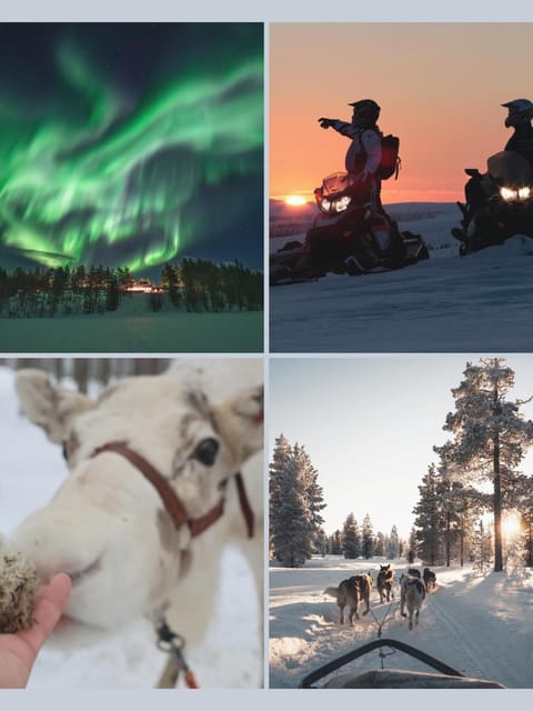 Property building, Activities, Activities, Winter