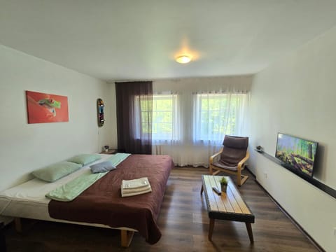 Photo of the whole room