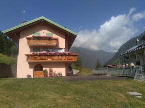 Natural landscape, Garden, Mountain view