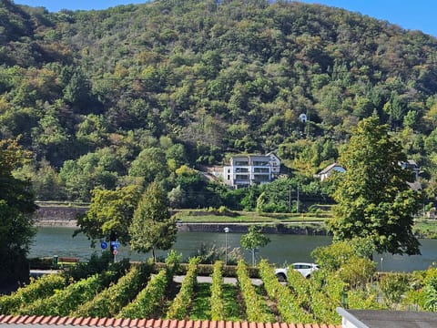 Hakans moselblick Ferienwohnung 2 Apartment in Cochem-Zell