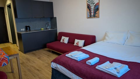 Kitchen or kitchenette, Photo of the whole room, Bedroom