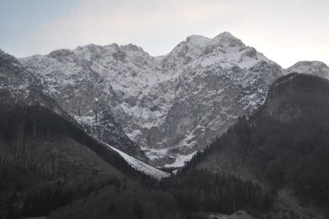 Natural landscape, Winter, Mountain view
