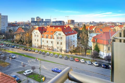 Bird's eye view, Street view
