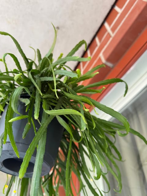 Cozy Room with Private Balcony in Prime location Apartment in Helsinki