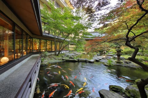 Day, Natural landscape, Garden, Garden view