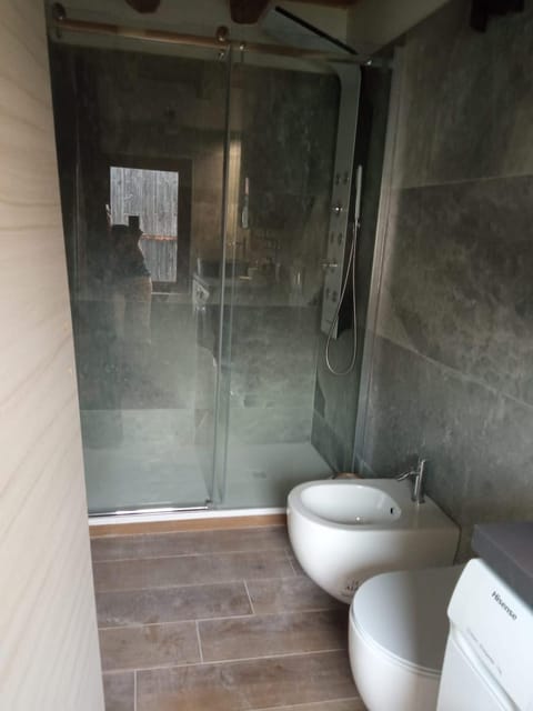 Shower, Toilet, Bathroom, bidet