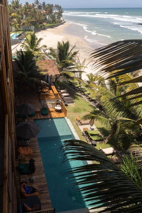 Day, Pool view, Swimming pool, sunbed