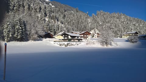 Property building, Day, Winter