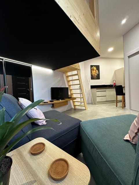 Le Studio de l 'Avenue Apartment in Valence