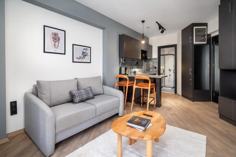 Kitchen or kitchenette, Living room, Seating area, Dining area