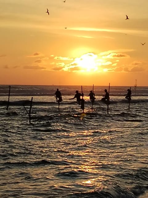 People, Natural landscape, Beach, Sea view, Sunset