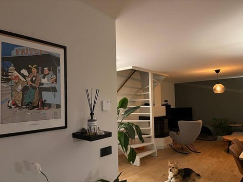 Experience Zaandam mills & Amsterdam city vibes Apartment in Zaandam