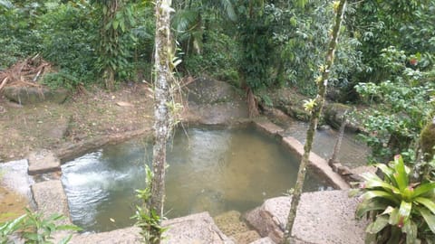 Natural landscape, Pool view, Swimming pool