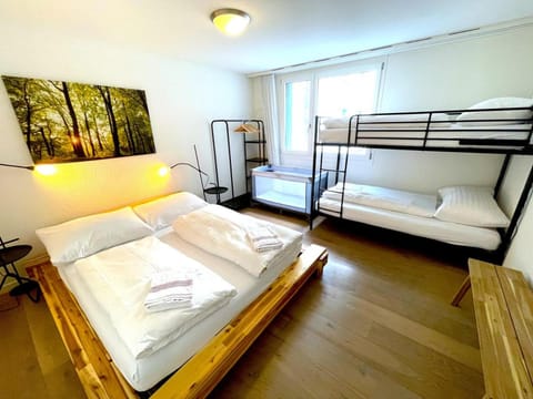 Modern with Alps Scenic Views and Concierge by SwissHut House in Interlaken