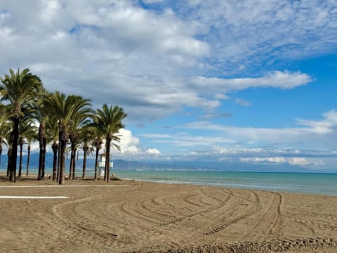 Nearby landmark, Beach