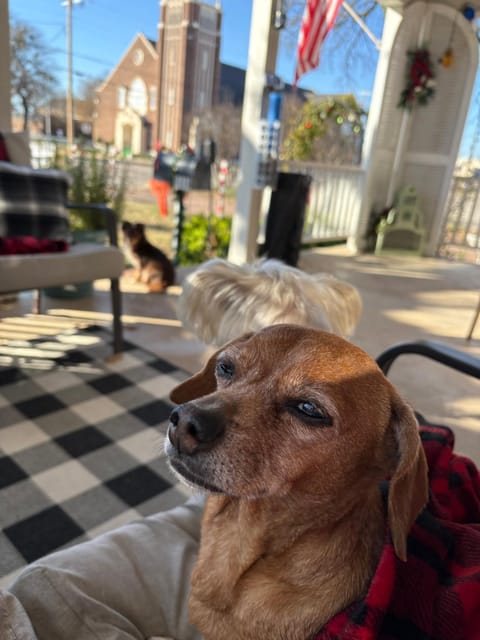 Pennoli Bed and Breakfast Vacation rental in Rio Grande