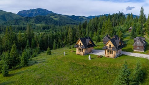 Bird's eye view, Mountain view, Mountain view