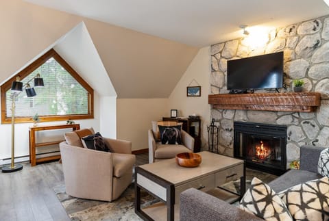 TV and multimedia, View (from property/room), Living room, fireplace, internet