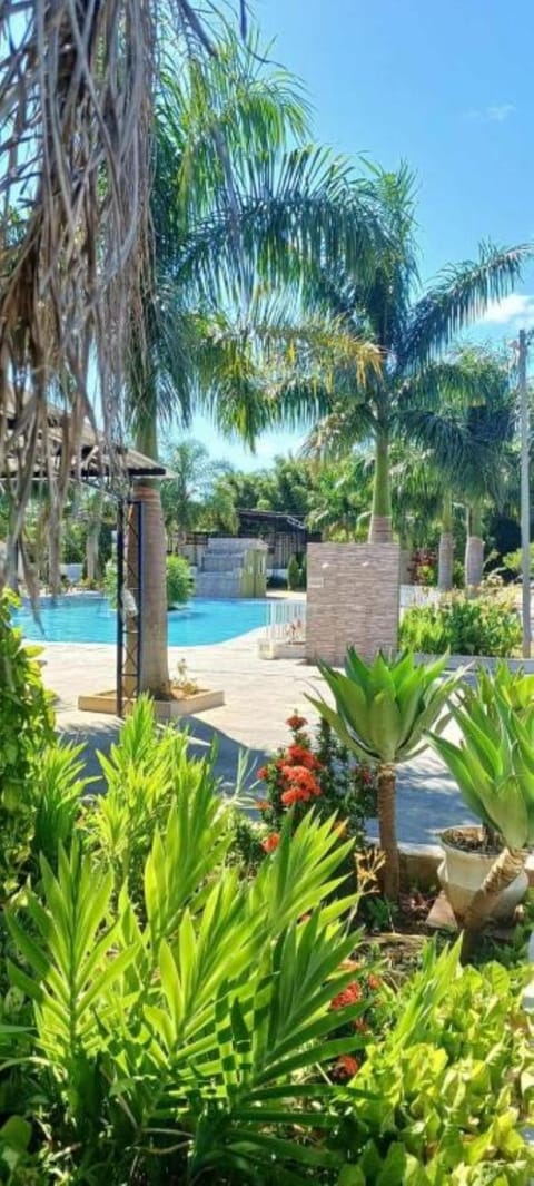 Garden view, Swimming pool