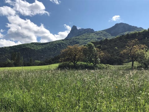 Appartement hyper centre de Die Apartment in Provence-Alpes-Côte d'Azur