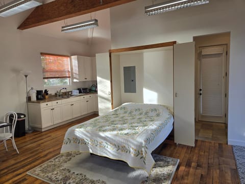 Bed, Kitchen or kitchenette