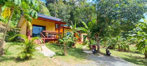 Property view