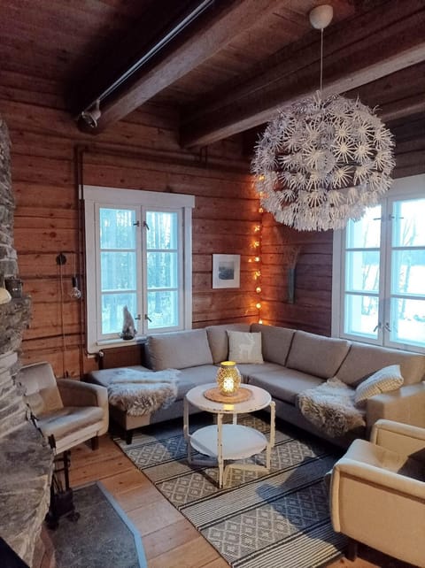Arctic house Villa in Rovaniemi