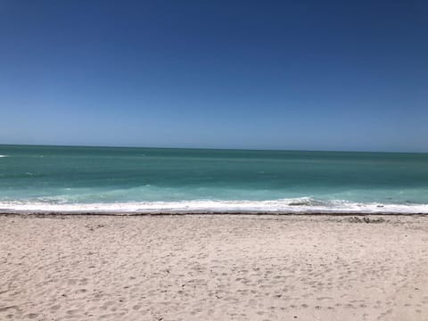 Sea Star 3 bedroom 2 bath BBQ Villa in Rotonda Lakes