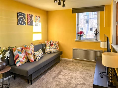 Sunny day new flat with 5 beds Apartment in Scotland