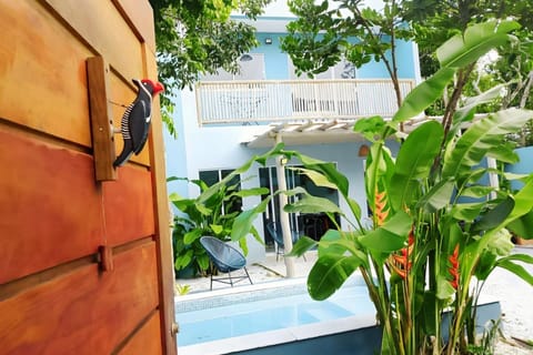 Property building, Garden, View (from property/room), Garden view, Swimming pool