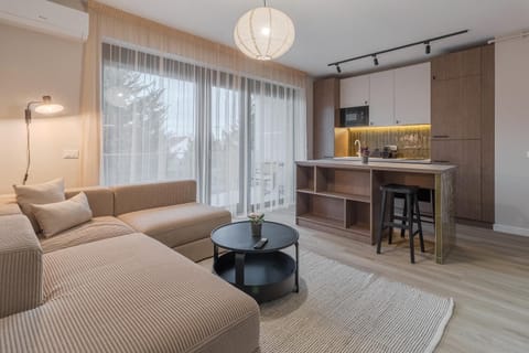 Kitchen or kitchenette, Living room, Seating area