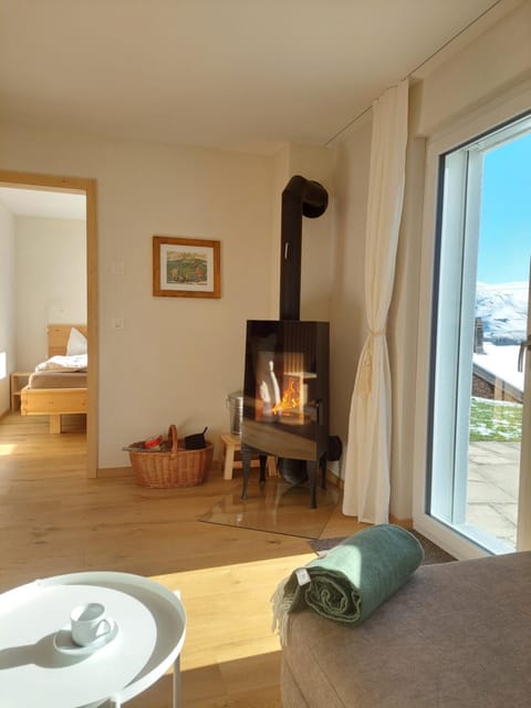 Living room, Photo of the whole room, Seating area, Garden view, Mountain view, fireplace