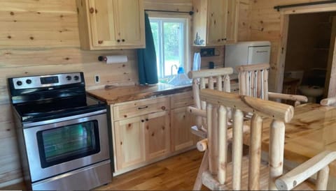 Black Bear Cabin Cabin in Wisconsin