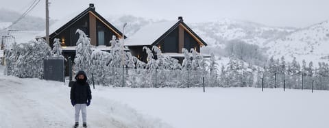 Villa Ensari Jezerc Villa in North Macedonia