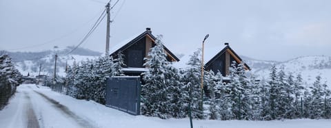 Villa Ensari Jezerc Villa in North Macedonia