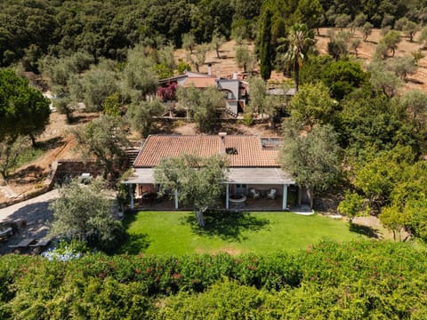 Property building, Bird's eye view
