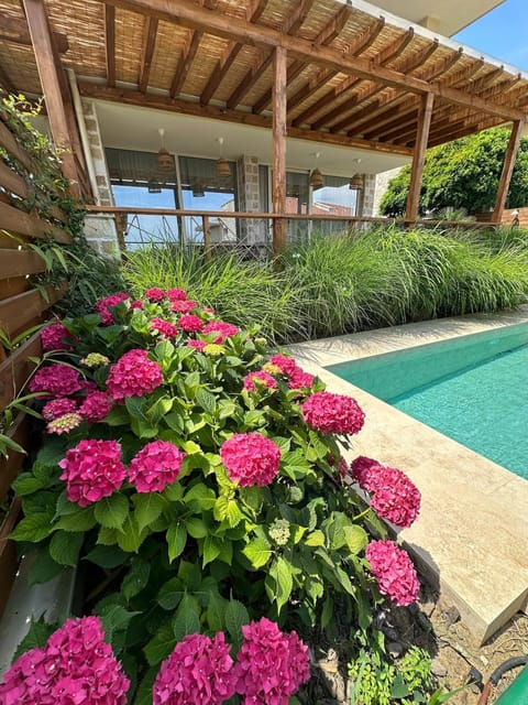 Garden, Garden view, Pool view, Swimming pool