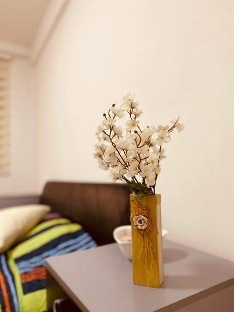 casa Felice Apartment in Bitola