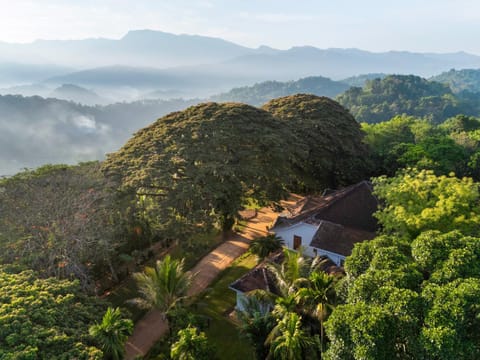 Natural landscape